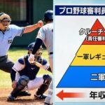 【プロ野球審判員】年収2,000万円は高いか安いか？「誤審＝評価ダウン」の厳しい階級社会と退職金事情